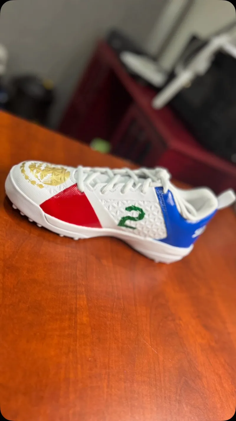 Custom turf shoe painted with Mexico-inspired colors and gold crest